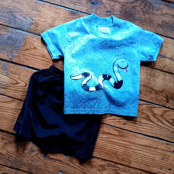 Boys Short Set 24 Months. NWOT Shirt and Shorts Set, Silly Snake! - Picture 1 of 1